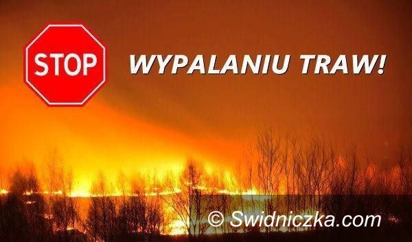Region: Nie wypalaj traw