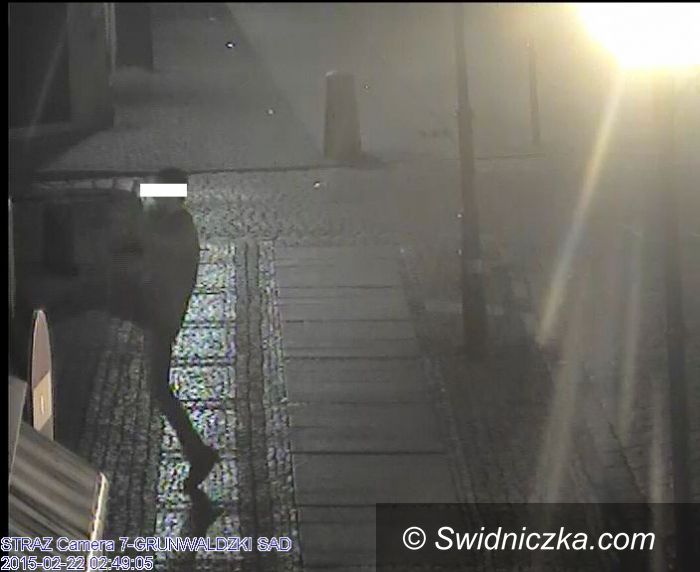 Świdnica: Uderzył strażnika miejskiego, odpowie przed sądem