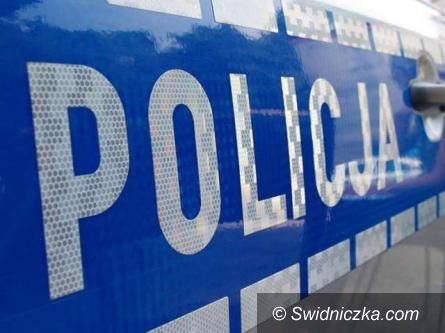 Dobromierz: Wpadł w trakcie kontroli drogowej
