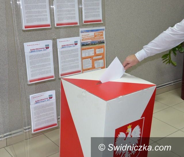 Strzegom: Trwa głosowanie ws. Budżetu Obywatelskiego