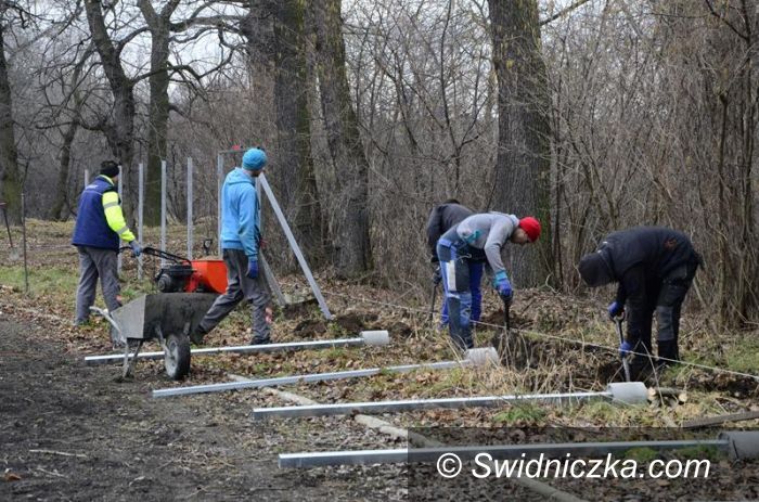 Żarów: Stadion Miejski z nowym ogrodzeniem