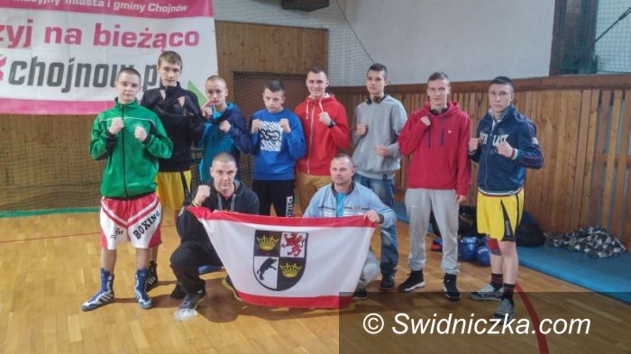 Kraj: Pasmo sukcesów pięściarzy ze Świdnicy!