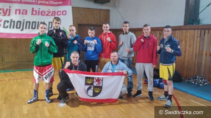 Kraj: Pasmo sukcesów pięściarzy ze Świdnicy!