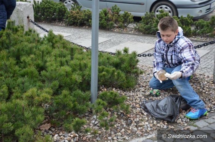 Strzegom: Dobry początek akcji: „Przedświąteczne porządki w gminie Strzegom”