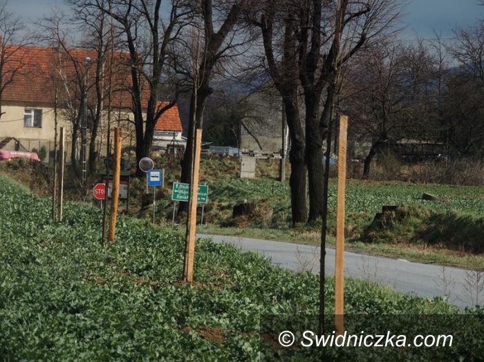 Siedlimowice: Dbają o swoją wieś