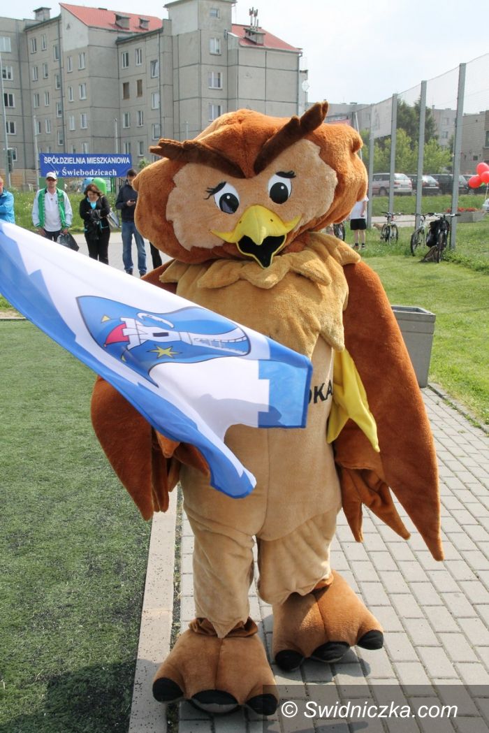 Świebodzice: Świebodzice: "Blisko Boisko" – Piknik sportowy
