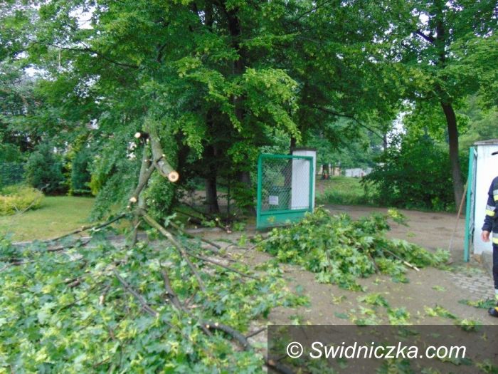 Dobromierz: Skutki opadów