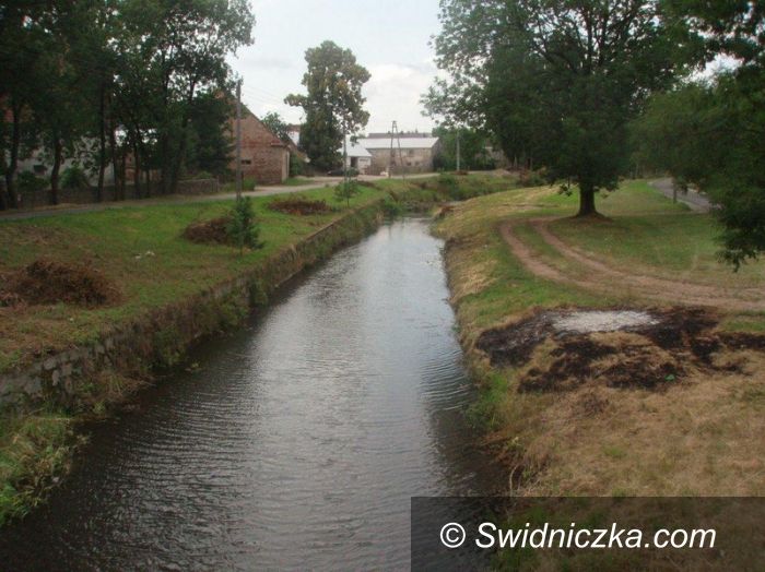 Dobromierz: Strzegomka oczyszczona