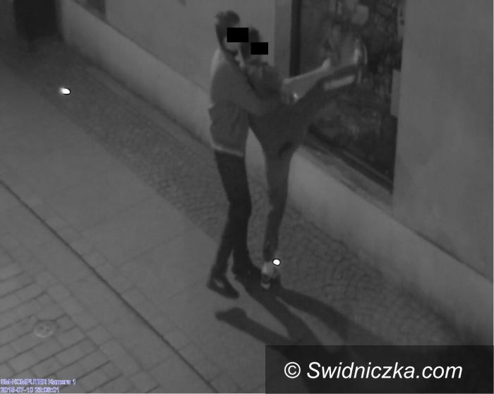 Świdnica: Kolejny wandal zatrzymany