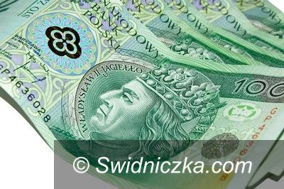 Świdnica: Będą fundusze na zwalczenie barszczu Sosnowskiego