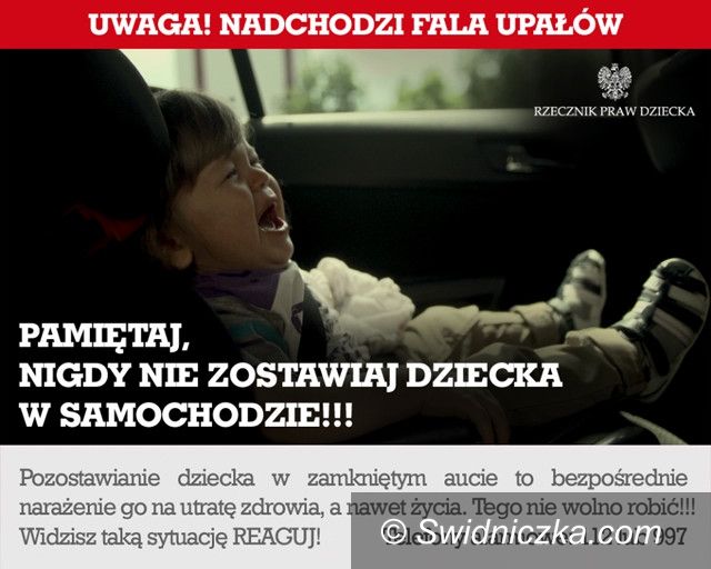 Świebodzice: Nietypowa interwencja Straży Miejskiej w Świebodzicach