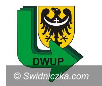 Region: 33 mln zł na pomoc dla młodych bez pracy – konkurs ofert trwa
