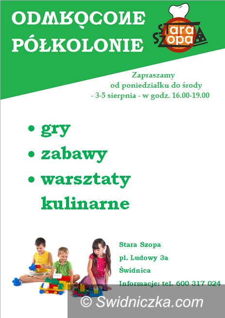 Świdnica: „Czyste wakacje” na Odwróconych Półkoloniach w Starej Szopie