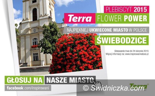 Świebodzice: Świebodzice: Walczymy o ukwiecony tytuł