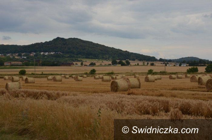 Strzegom: Żniwa na finiszu