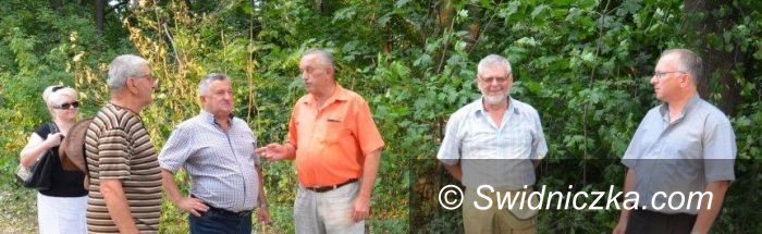 Rogoźnica: Piękna inicjatywa społeczna w Rogoźnicy
