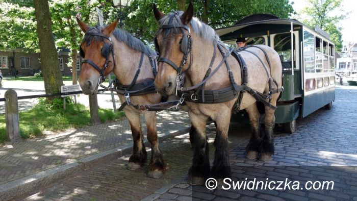 Świebodzice: Do Książa tramwajem