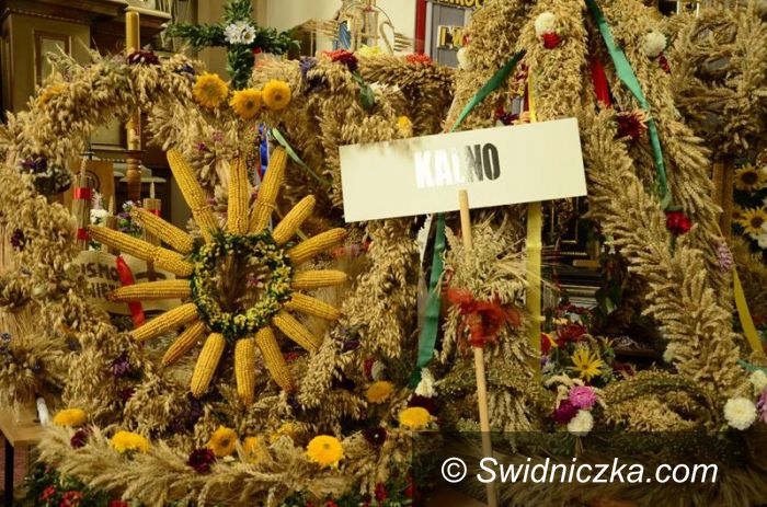 Żarów: Żarów: W podziękowaniu za plony