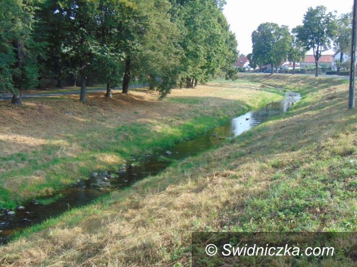 Dobromierz: Oczyszczone brzegi rzek
