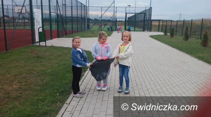 Stanowice: „Sprzątanie Świata” w Stanowicach