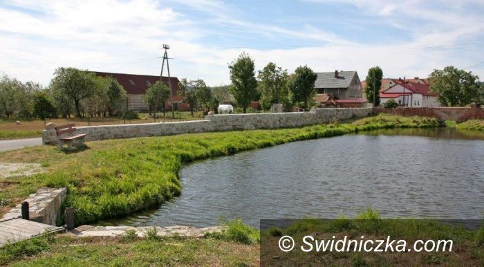 Region: Poprawa estetyki wsi