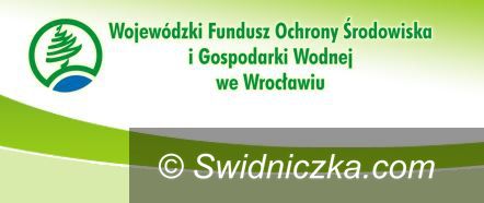 Region: Pieniądze na walkę ze smogiem