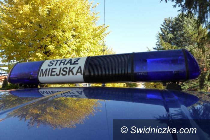 Świdnica: Atak szału