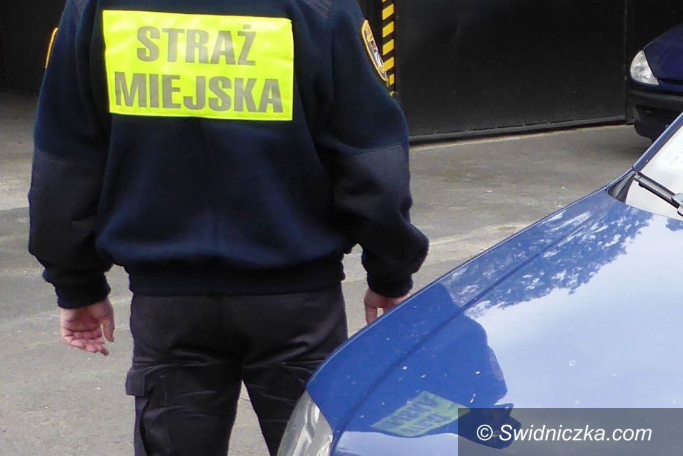 Świdnica: Palił śmieci w ogródku