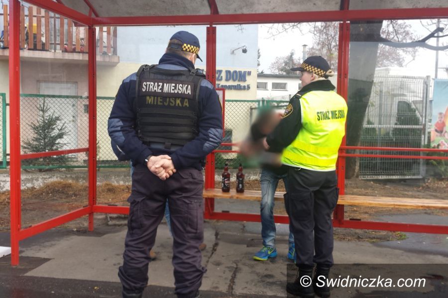 Świdnica: Pili alkohol na przystanku