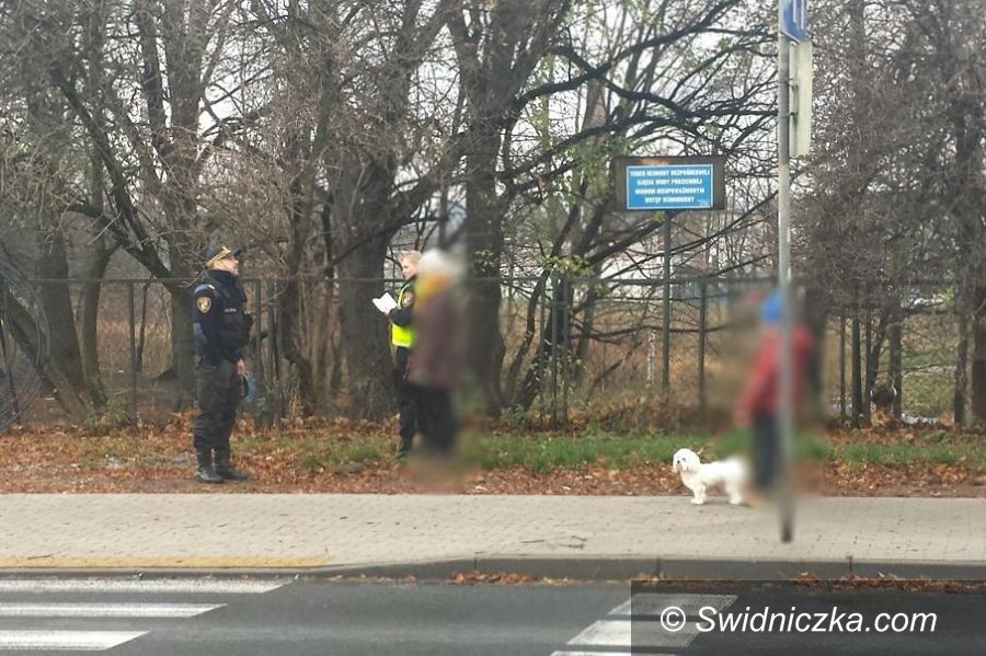 Świdnica: Akcja „Sprzątam po moim psie”