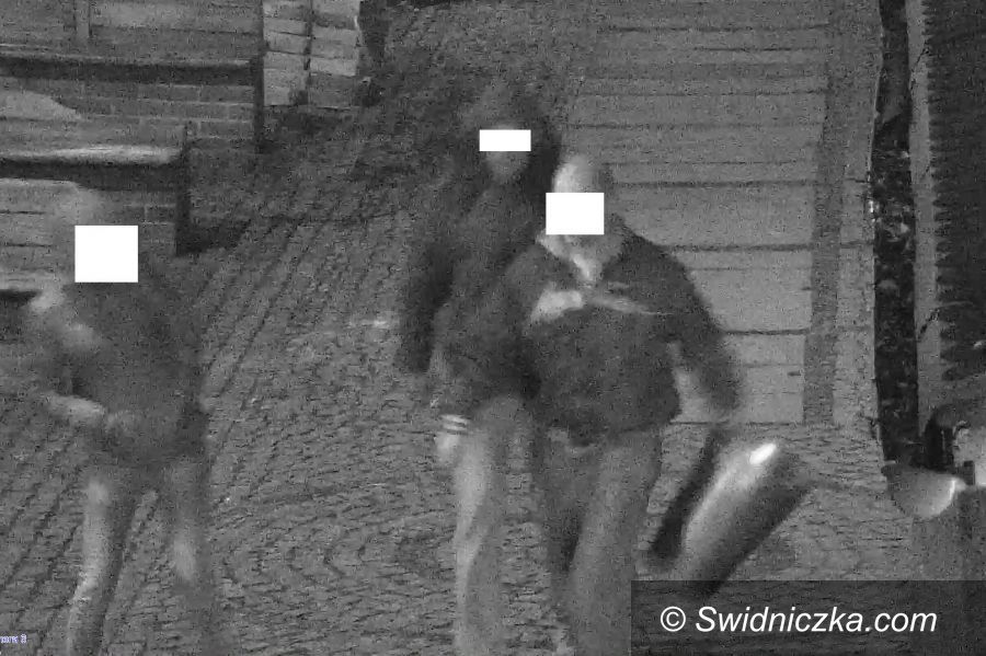Świdnica: Rzut koszem to drogie hobby