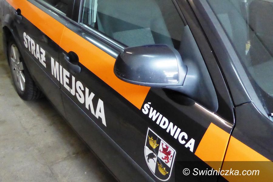 Świdnica: Pomogli zagubionemu