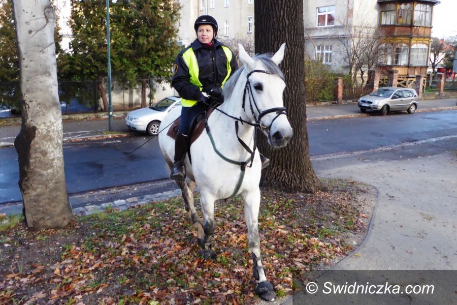 Świdnica: W blasku odblasków