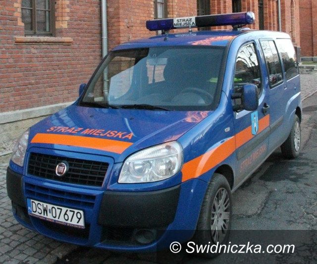 Świebodzice: Świebodzice:  Zostań strażnikiem miejskim