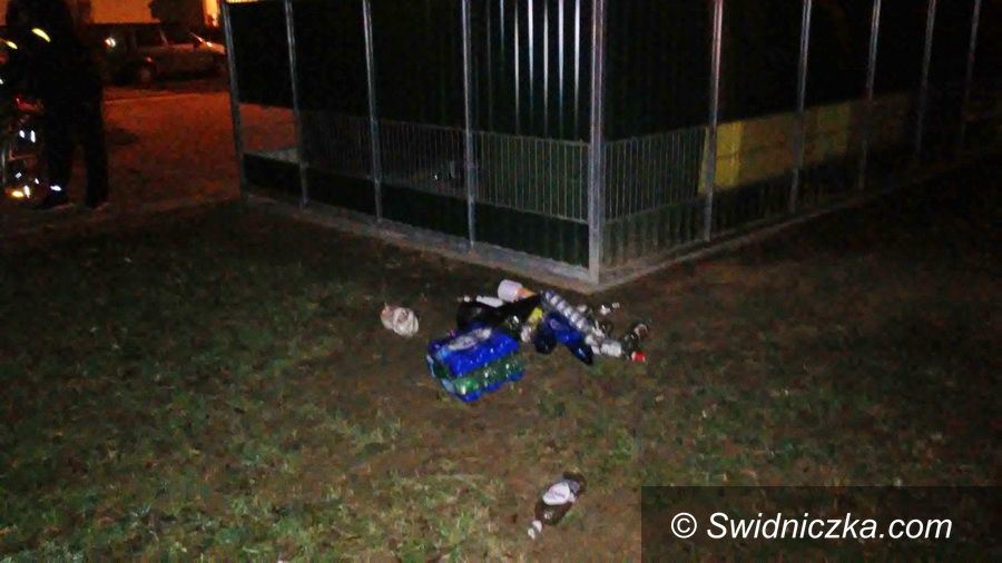 Świdnica: Dbając o najbliższe otoczenie