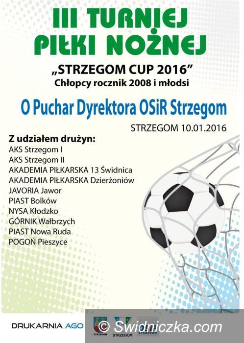 Strzegom: Turniej piłkarski w Strzegomiu