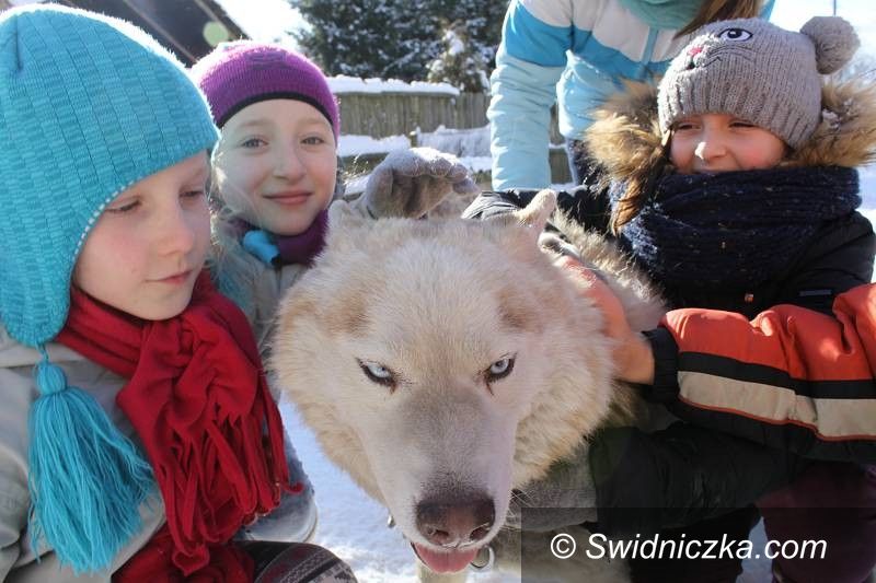 Świebodzice: Świebodzice: Ferie w mieście – trwają zapisy