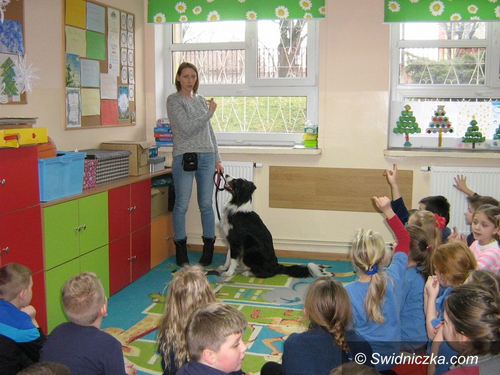 Świdnica: Niecodzienni goście w SP 6 
