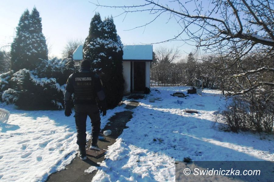 Świdnica: Działkowi wandale ujęci