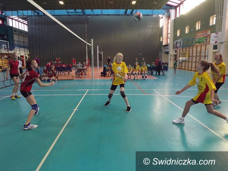 Świdnica: Mini siatkówka dziewcząt