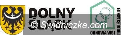 Świdnica: Sołectwo Gogołów w odnowie dolnośląskiej wsi