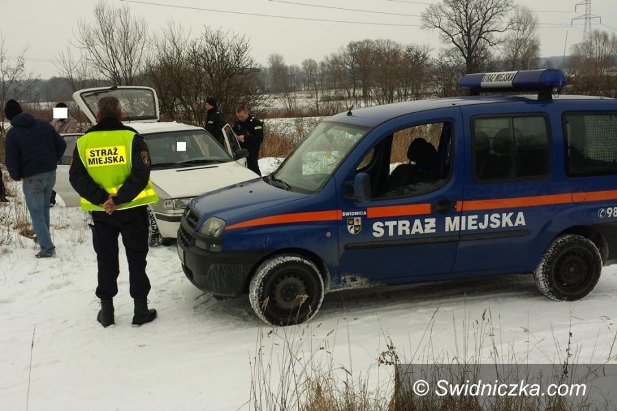 Świdnica: Wycinali i kradli drewno