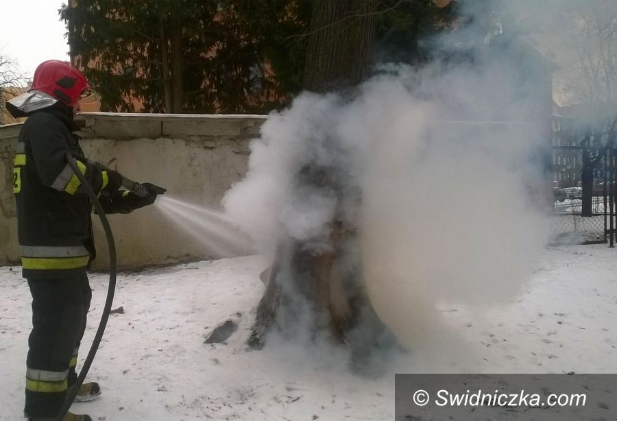 Świdnica: Płonące drzewo