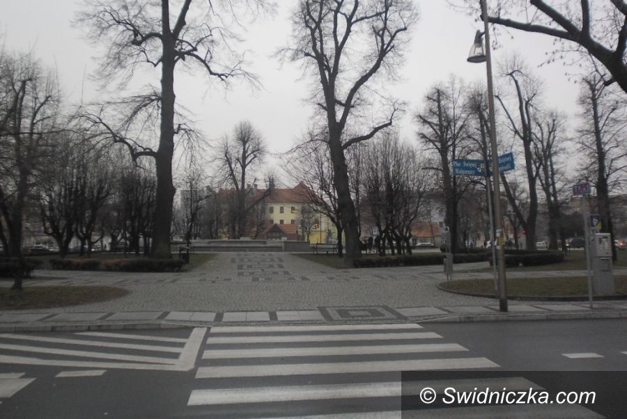 Świdnica: Pies po sobie nie posprząta!