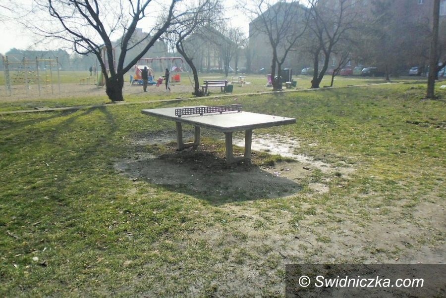 Świdnica: Zasiedli do stołu, choć to stół do tenisa
