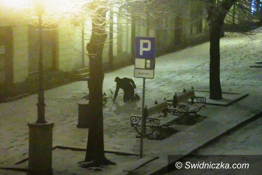 Świdnica: Nocny cyklista