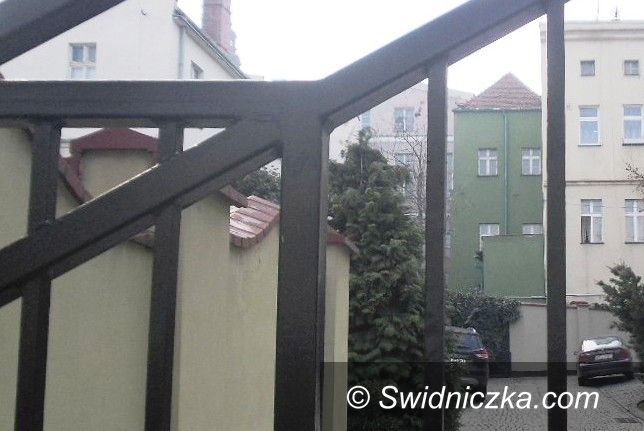 Świdnica: Porzucili psy, zamykając je w jednym z mieszkań w Rynku