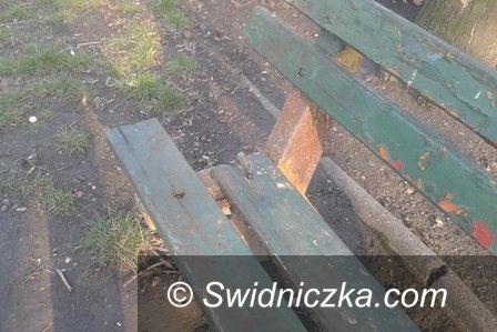 Świdnica: Ławki do naprawy