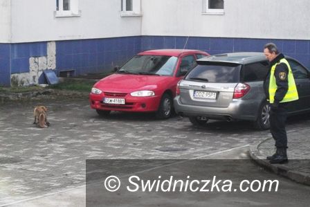 Świdnica: Szukał pomocy