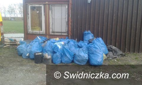 Świdnica: Wiosenne porządki